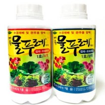 대유 물푸레 500ml 1호 2호 화훼류 과채류 양액재배 수경재배 양액비료, 물푸레 1호 B타입(화훼/엽체류)