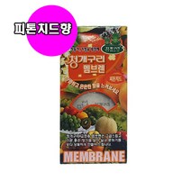 청개구리 청개구리멤브렌 피톤치드향 차량용방향제 산도깨비, 1개