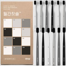 덴티넘 소프트 초미세모 옥수수 월간칫솔 12개 베이직, 부드러운 초미세모 옥수수 친환