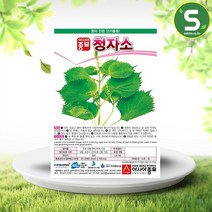 청자소 씨앗 3g 선녹색 차조기 자소엽 약초용 종자, 단품