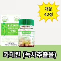 [HD생활건강]체지방 감소02 카테킨 700mg 42정, 1개, 42개