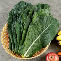 복천 케일 녹즙용 3kg, 1개