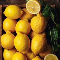 [노말테이블]팬시 레몬 수입과일 미국산레몬 대용량 벌크, 140과(17kg)