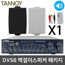 탄노이 DVS6 벽걸이 벽부형 매장용 카페용 스피커 1