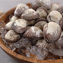 청정갯벌 벌교 새꼬막 2kg / 쫄깃한 식감과 바다의 단맛을 가진 명품꼬막