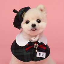 모모스페이스 교복 케이프 넥카라 강아지 스카프 고양이 유치원 애견 악세서리 대형견 소형 XS 7XL, M, 그린