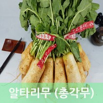 알타리무 총각무 초롱무 3kg내외 5다발 발품장터