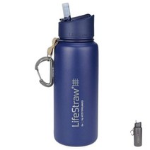 [Life Straw] 라이프 스트로우 고 스테인레스 스틸 정수물병, 그레이