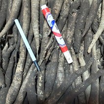 제주 구좌 햇 더덕 1kg (상 사이즈), 1개