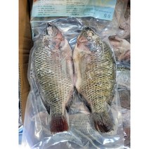 냉동 블랙틸라피아 750g Tilapia 피쉬앤 칩스 블랙 틸라피아 역돔