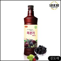 KDM 음료원액 복분자 베이스 970ml 광야 카페재료 에이드만들기 과일쥬스 복분자에이드만들기, KDM 1