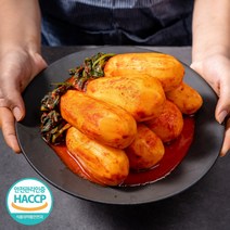 [식객명인] 전라도 총각김치 50년전통 김치맛집 100%국내산 알타리김치 당일생산 식객 허영만, 1개, 1kg