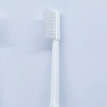 라이온 임플란트 두줄모칫솔 (당일발송 TR 두줄모칫솔), 1팩, 1개