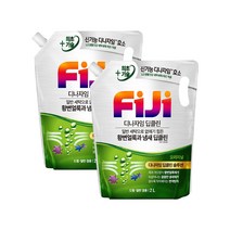 피지 디나자임 딥클린 액체세제 일반/드럼 겸용 오리지널 2L 리필, 2L 2개