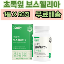 뉴일리 초록입 보스웰리아 60정 식 약 처 인증 영양제 인도산 보스웰릭산 AKBA + KBA 뉴질랜드산 초록입홍합 치커리 우슬 간편 섭취, 1개