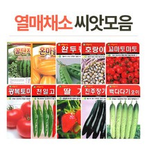 [에타홈] 열매채소 씨앗, 적색난쟁이 강낭콩
