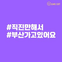 LINE CUT 직진만해서 부산가고있어요 초보운전 해시태크 데칼 스티커 STLT-002, 흰색