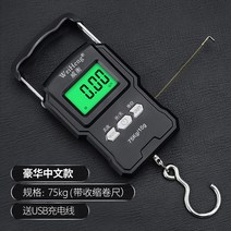 고정밀 휴대용 전자 스프링 저울 가정용 소형 수하물 무게측정 후크 낚시 저울 계근대, 줄자 + 충전식 75kg