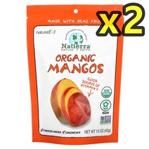 네이티라 건망고 42.5g 2개