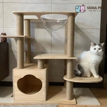 고양이 러시안블루 하우스 우주캡슐 숨숨집 프리미엄 스크래쳐 DIY 원목 다기능 캣타워, 단품