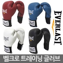 에버라스트 벨크로 트레이닝 글러브 14온스 4가지컬러, 화이트 14온스
