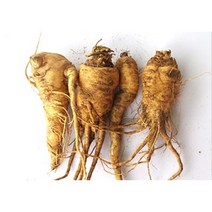 못난이 파스닙 (국내산) 1kg 설탕당근 parsnip, 단품