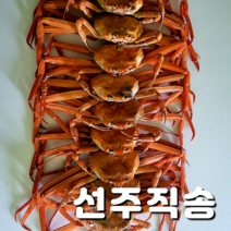 [선주 직송] 포항 구룡포 연지홍게 7~11마리 (찜+배송비 포함), 1박스, A급 3kg 7~11마리 내외(일반)