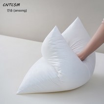 CNTCSM 제조사 직판 소파 베개 코어 허리 베개 주문 제작 고탄성 내마모 쿠션 프린트 내담 45 50 60 70 80, 45*45 약 450g【40베개 커버 포함】