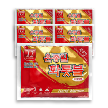 온종일 화롯불 핫팩 일반형 80g (5개)