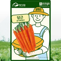미니 당근씨앗 1g 손가락 베이비 봄 여름 가을 당근 김장채소 종자 씨 AS, 1개