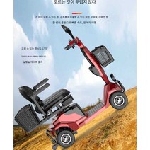 어르신전동차 노인전동차 삼륜오토바이 노인, 고급 모델12A 납산약 40km300W 모터방폭 솔리드