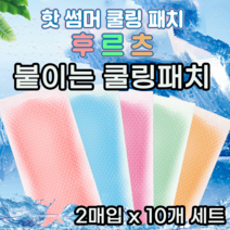 붙이는 쿨 쿨링 패치 찜질 얼음 아이스 냉 찜질팩 얼음팩 쿨팩 10p 세트, 컬러랜덤 (2매입)x10개 세트
