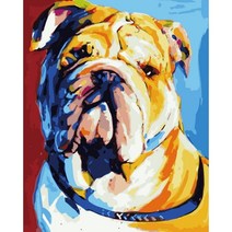 Sunburst Wonder 동물 유화 그리기 캔버스 숫자DIY 세트 40*50cm, 40X50CM, AO127