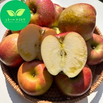 오둥이네 농장 아삭아삭 고당도 가정용 아리수 사과 신품종 알뜰사과 2kg~9kg, 1박스, 중대과 (12-16과) 5kg