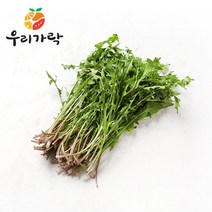 브랜드없음 [우리가락]머위잎 200g 이내, 단품없음