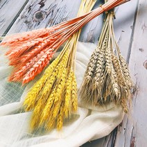 한소픈 밀 보리 쌀 이삭 묶음 가을 추수장식품 계절 디스플레이 소품 매장 장식소품 인테리어 소품, 밀-오렌지