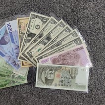 지폐홀더 100장 동전 앨범 지폐보관팩 수집용품, 구포트쿠팡 본상품선택