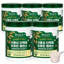 본트비 맛있는 식물성 단백질 프로틴 밸런스, 5통, 420g