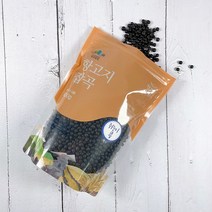 항고지농원 제주 쥐눈이콩 (약콩) 500g, 1개
