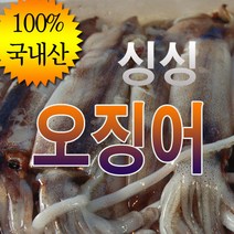 국내산 오징어 한박스 20-30마리 냉동 태안 신진항, 오징어 중소 25