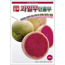 아시아종묘 과일무씨 단홍무씨앗 무우씨 (100립), 과일무씨앗 100립