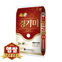현대농산 2022년 햅쌀 진품 경기미 쌀 10kg 상등급, 1포