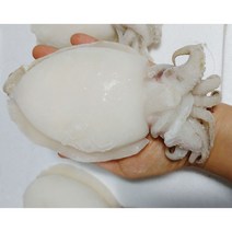 손질 갑오징어 1KG 5-8마리, 1kg(5~8마리), 1개