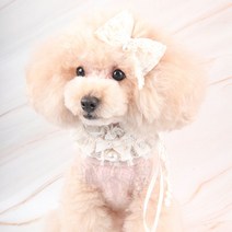 팝앤퍼피 셔링레이스케이프, S, 아이보리