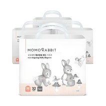 모모래빗 에코씽씽 밴드형 기저귀