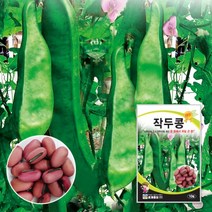 넝쿨 작두콩씨 작두콩종자 씨앗 10립 대포장 500g