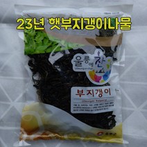 울릉물산 울릉도 건(마른) 부지갱이 나물 100g, 1개