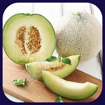 고당도 꿀 머스크 멜론 8KG 3수 고당도멜론 고당도메론