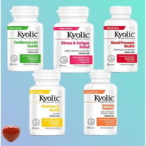Kyolic 숙성 마늘 추출물 포뮬러 106 캡슐 100정, 100 Count (Pack of 1)