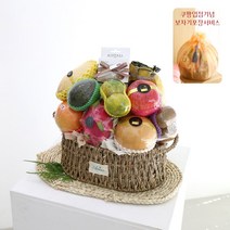 [ 과일바구니 ] 산모건강B 과일선물 축하선물 출산선물 임신선물 손목보호대 산모건강 프라하우스, 1개